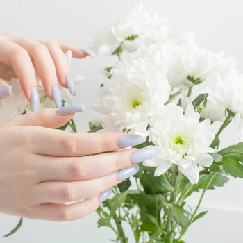 female hands with beautiful manicure and chrysanthemum flowers