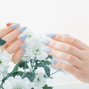 female hands with beautiful manicure and chrysanthemum flowers