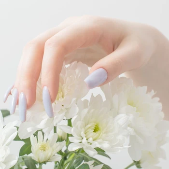 female hands with beautiful manicure and chrysanthemum flowers